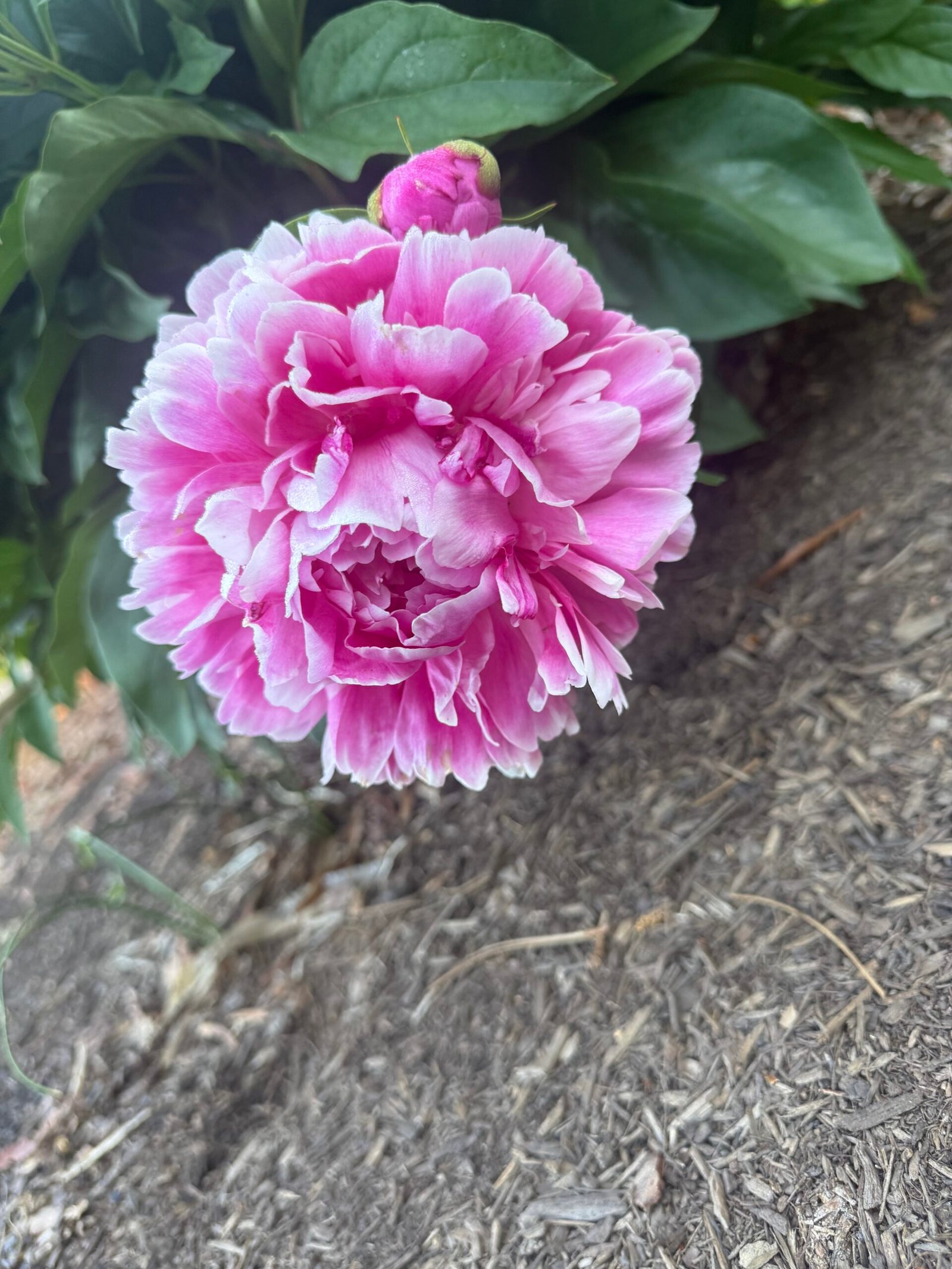 Hand-gathered bouquet